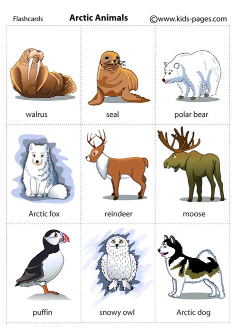 Arctic Animal Printables